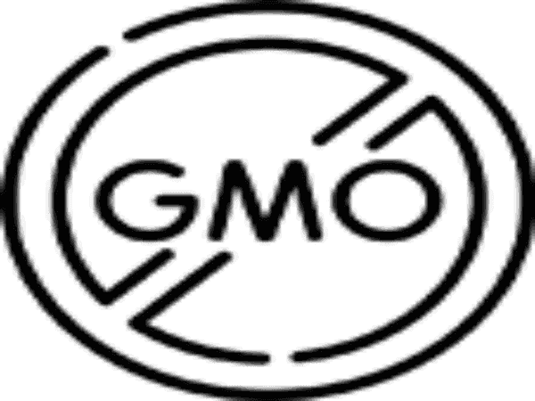 Organic Exfoliating Body Scrub -  Lavender Fragrance